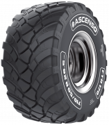 560/60R22,5 cat.no 3001080010DF FTR170 165D TL ASCENSO OEM